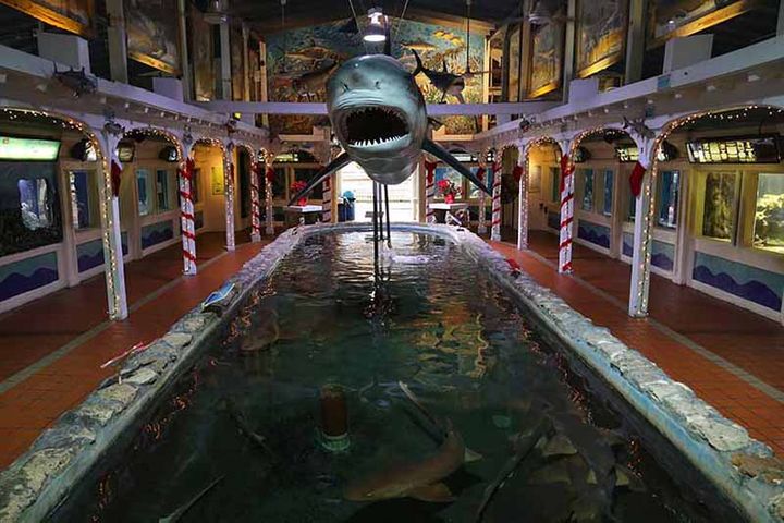 Aquarium — Ки Уест, Флорида, США