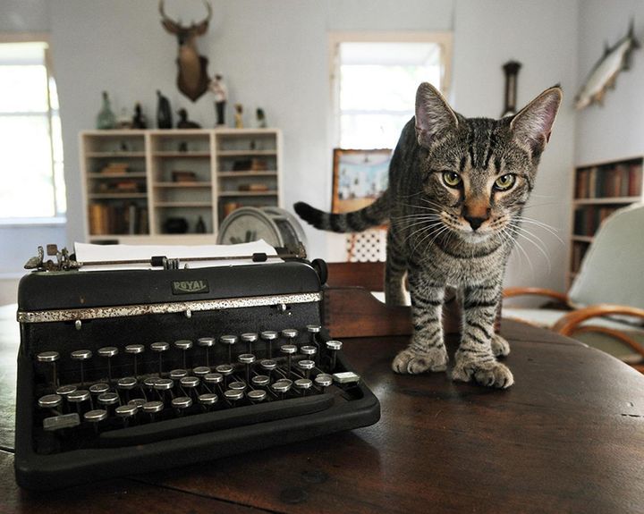 HemingwayHouse — Ки Уест, Флорида, США