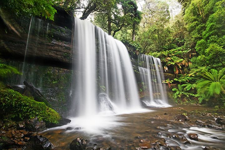 MountFieldNationalPark — Хобарт, Тасмания