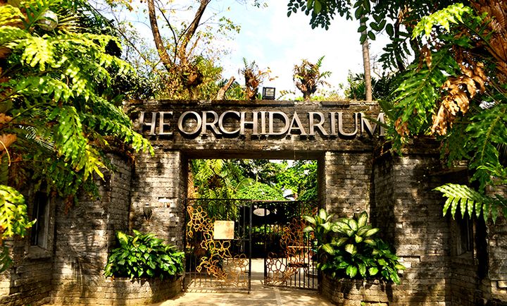 Orchidarium — Манила, Филиппины