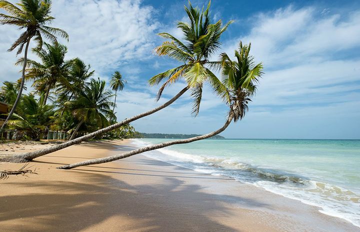 MayaroBeach — Порт-Оф-Спейн, Тринидад
