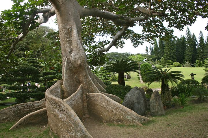 BotanicGarden — Санто Доминго, Доминиканская Республика