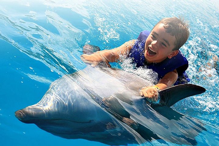 CaboDolphins — Кабо Сан Лукас, Мексика