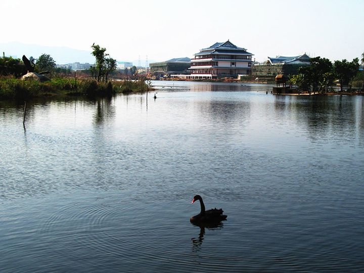 ObzorkaWuyuanBayWetlandPark — Сямынь, Китай
