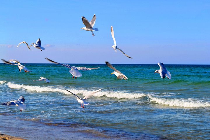WarnemundeBeach — Варнемюнде, Росток, Германия