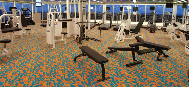 Фитнес центр (Fitness Center)