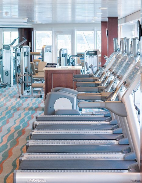 Тренажерный зал (Fitness Center)