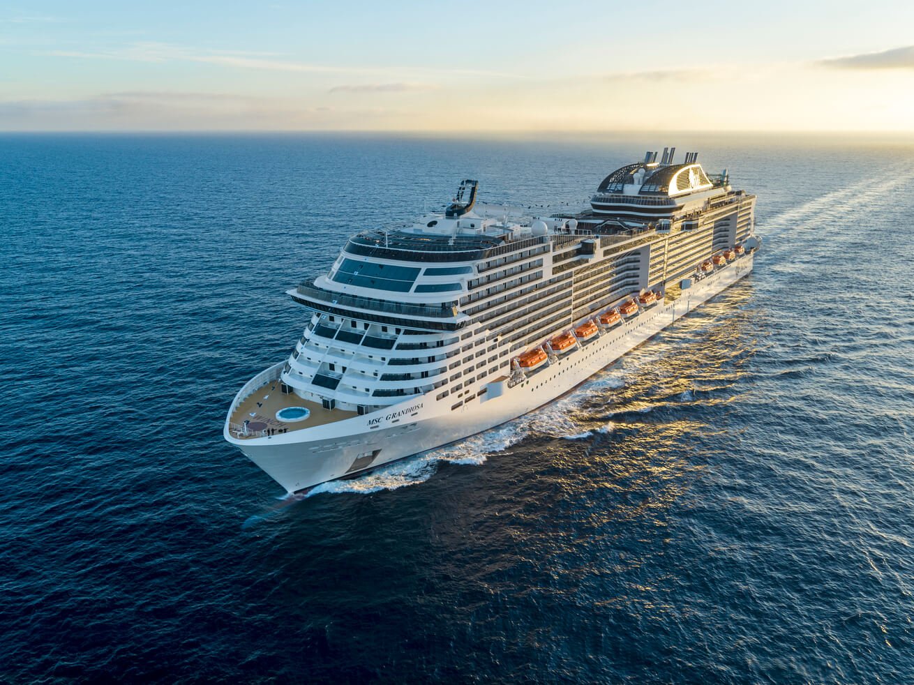 MSC19001871