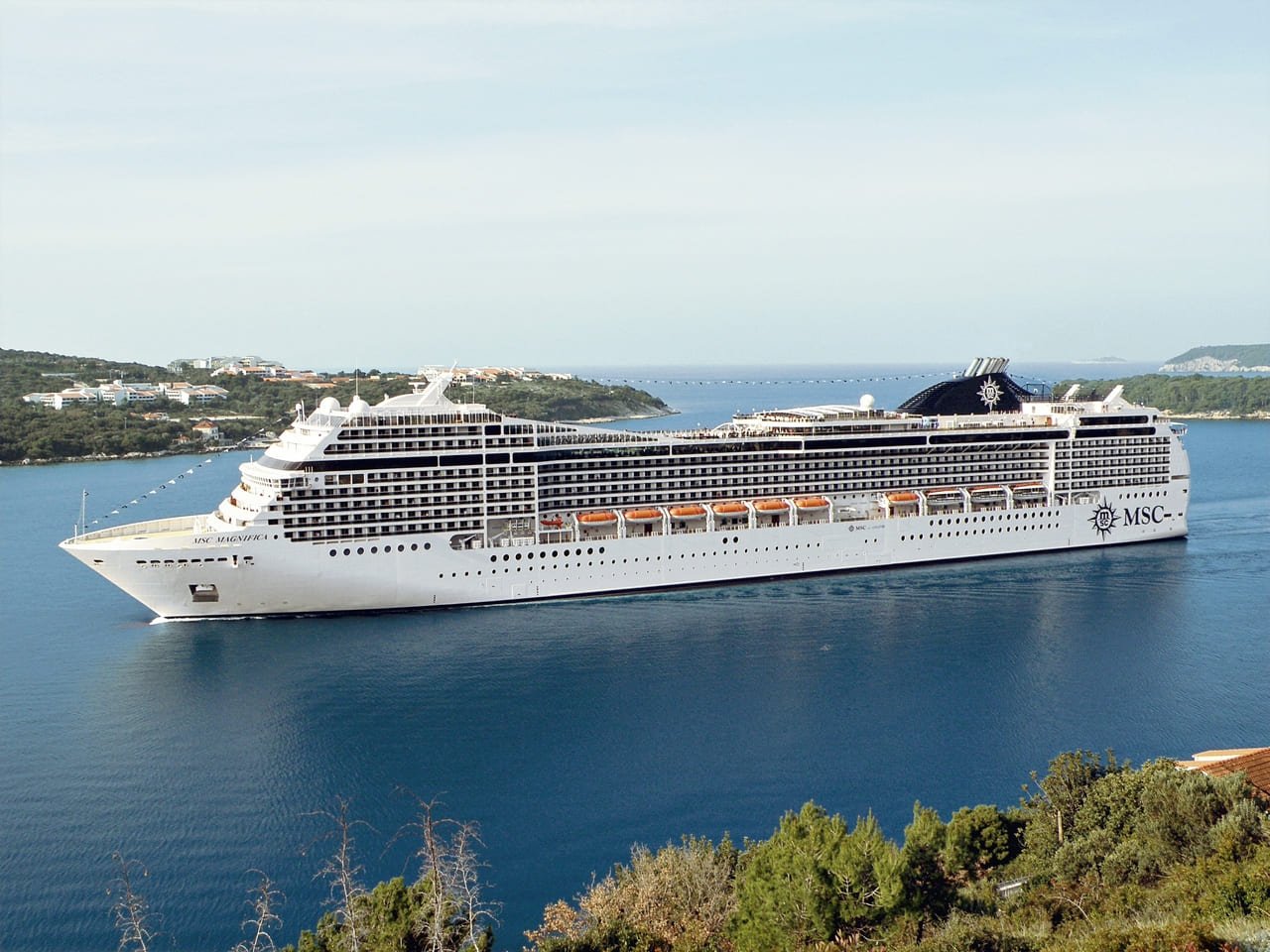 MSC13013466