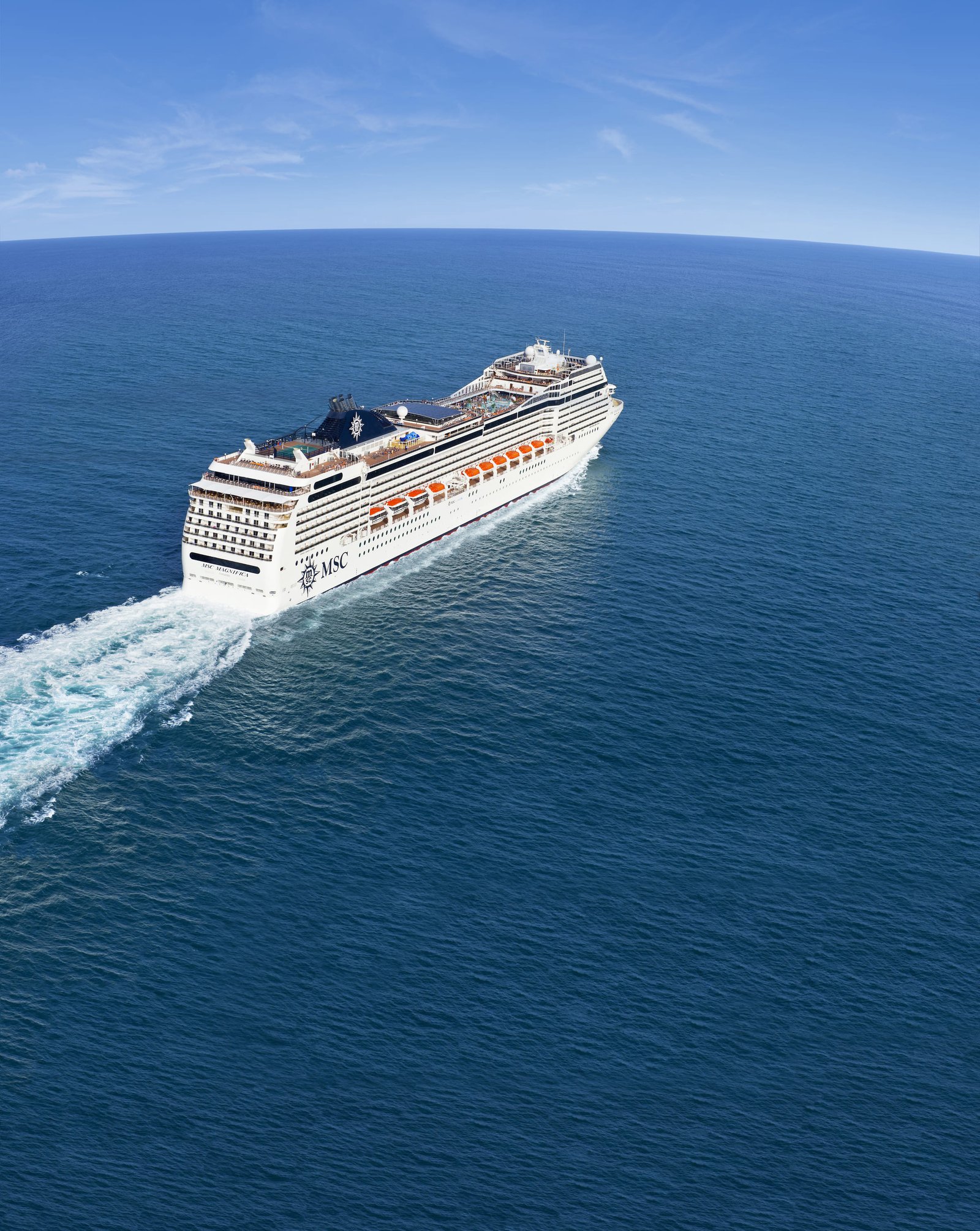 MSC17011351